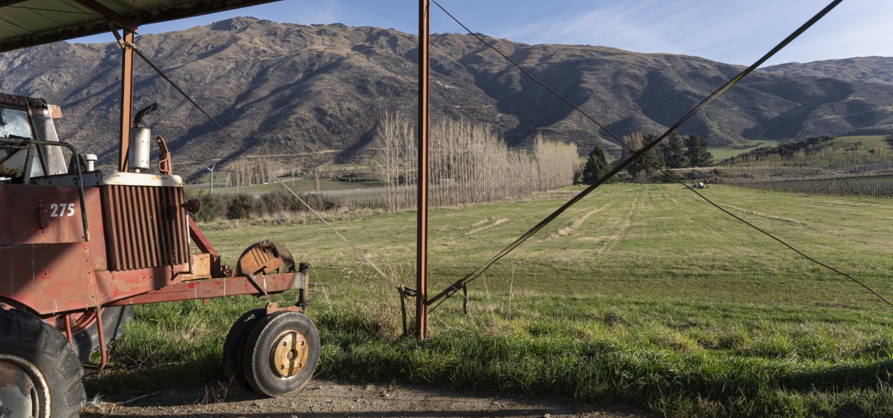 Sam Neill puts his acclaimed Gibbston vineyard up for sale Colliers Otago